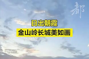 记者：萨马尔季奇转会国米破裂是因经纪人皮门塔的佣金问题